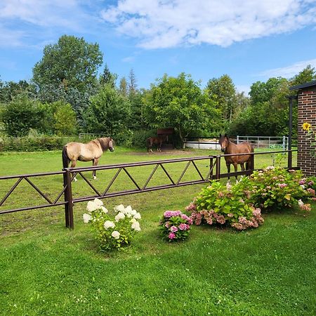 Poggenhagen Urlaub Mitten In Der Natur Neustadt am Rübenberge Exterior foto