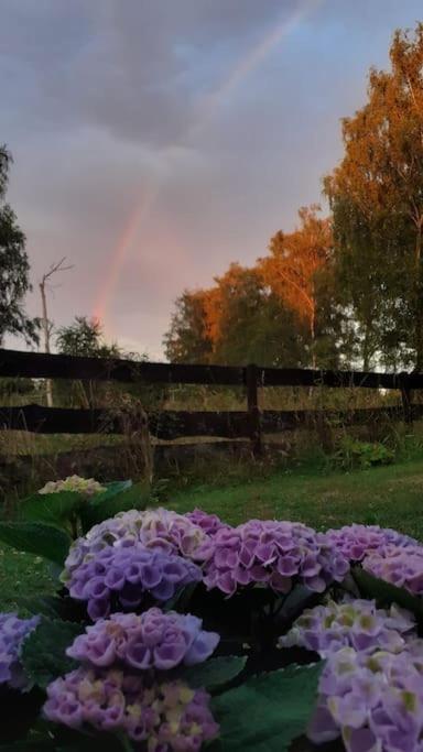 Poggenhagen Urlaub Mitten In Der Natur Neustadt am Rübenberge Exterior foto