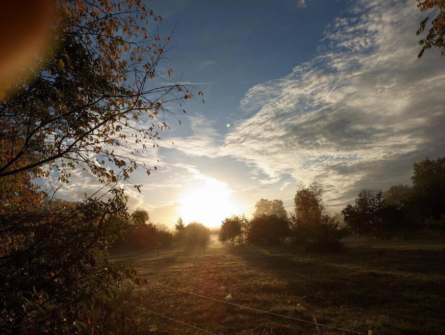 Poggenhagen Urlaub Mitten In Der Natur Neustadt am Rübenberge Exterior foto