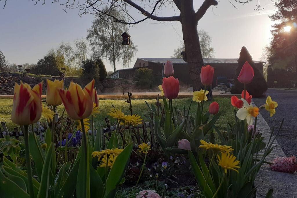 Poggenhagen Urlaub Mitten In Der Natur Neustadt am Rübenberge Exterior foto
