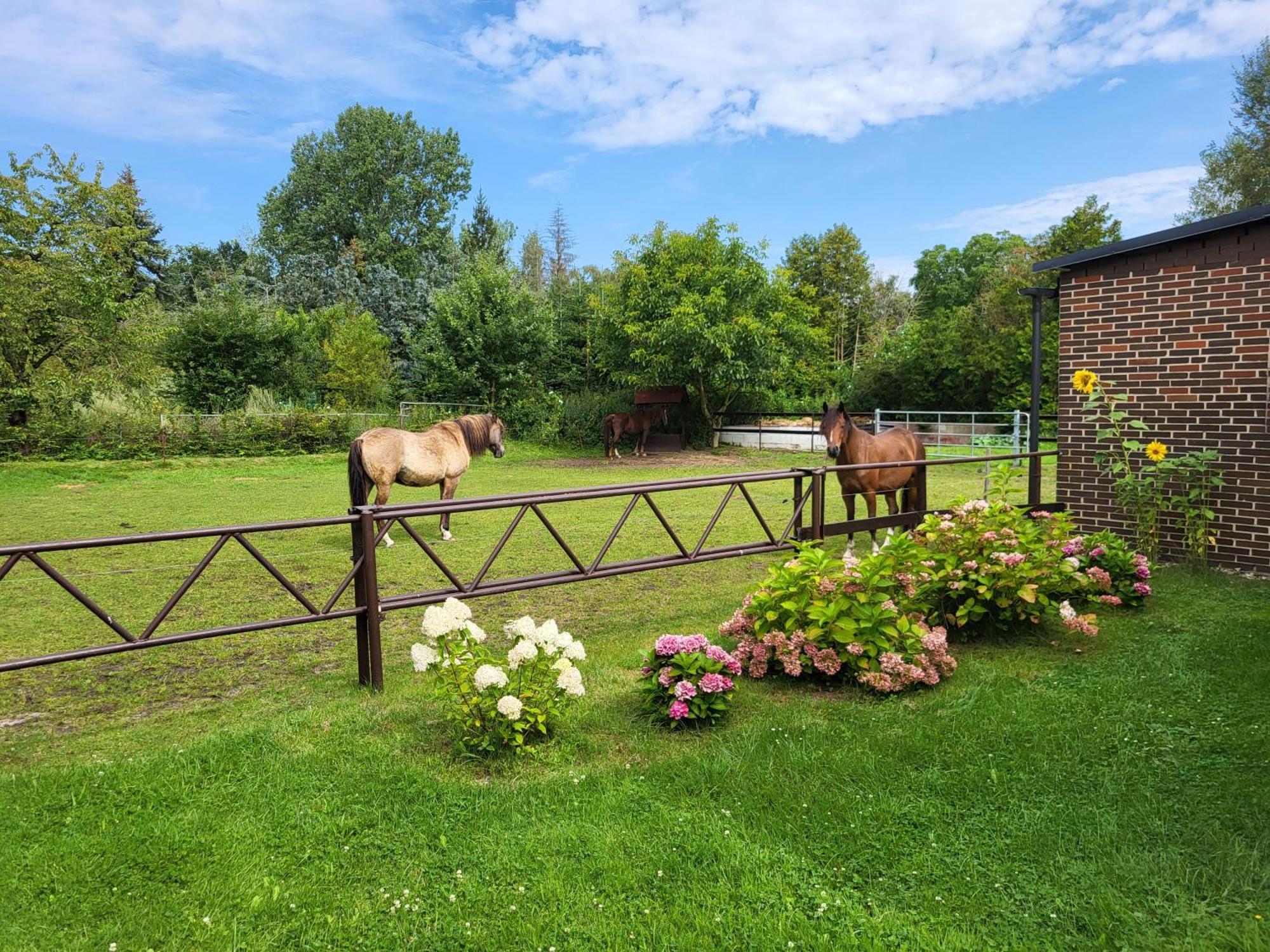 Poggenhagen Urlaub Mitten In Der Natur Neustadt am Rübenberge Exterior foto